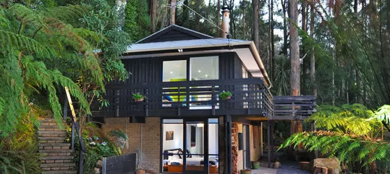 Misty Woods Retreat Olinda | Victoria - Melbourne (ve civarı) - Olinda