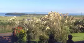 East Muntloch Croft Bed & Breakfast | İskoçya - Dumfries ve Galloway - Stranraer