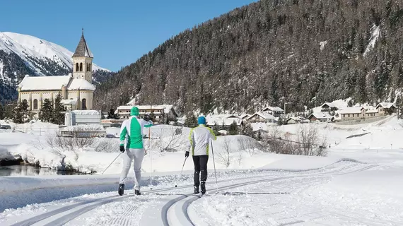 Hotel Burgaunerhof | Trentino-Alto Adige - Güney Tirol (il) - Martello