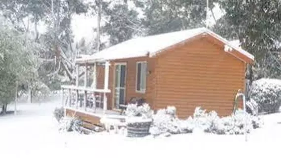 Maydena Country Cabins Accommodation & Alpaca Stud | Tazmanya - Maydena - Fitzgerald