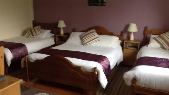 Deerpark Manor Bed and Breakfast | Mayo (kontluk) - Swinford