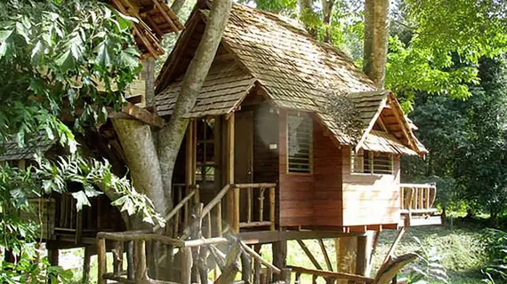 Rabeang Pasak Treehouse Resort | Chiang Mai İli - Doi Saket