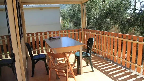 Camping Fontana delle Rose | Puglia - Foggia (il) - Mattinata