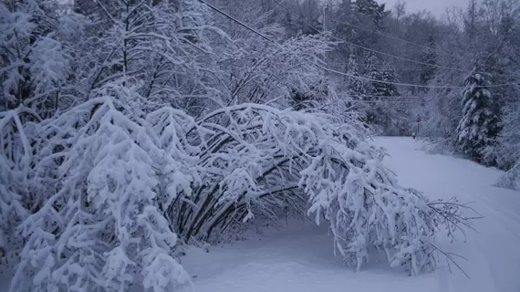 La Chaumiere de l' Anse | Quebec - Les Laurentides Regional County Belediyesi - Tremblant Dağı (ve civarı) - Mont-Tremblant