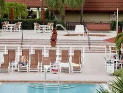 Magic Tree Resort | Florida - Orlando (ve civarı) - Disney's Maingate West