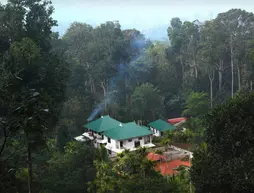 Green Shades | Kerala - Idukki Bölgesi - Devikolam