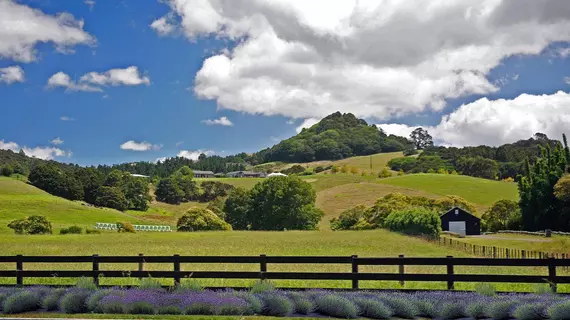 Sugarloaf Lodge | Auckland Bölgesi - Auckland (ve civarı) - Matakana