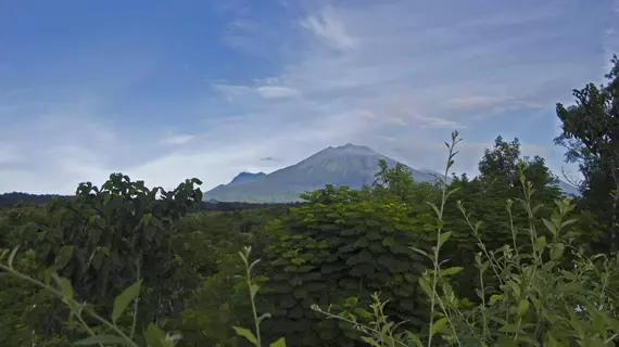 Bangsring Breeze | Doğu Cava - Banyuwangi - Banyuwangi