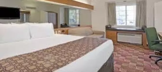 Microtel Inn by Wyndham Denver | Kolorado - Denver (ve civarı) - Denver