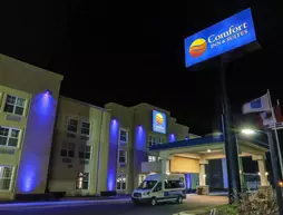 Comfort Inn and Suites | Michigan - Detroit (ve civarı) - Allen Park