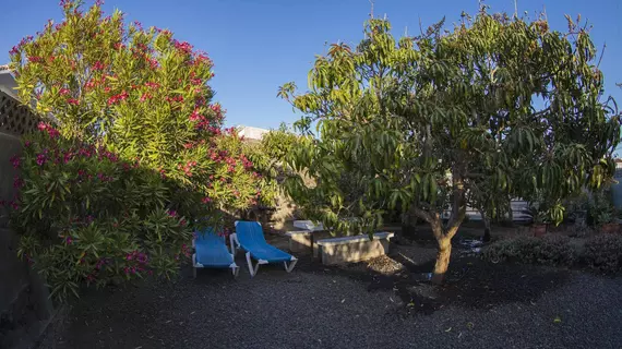 Finca El Gallo | Kanarya Adaları - La Palma - Los Llanos de Aridane - Todoque