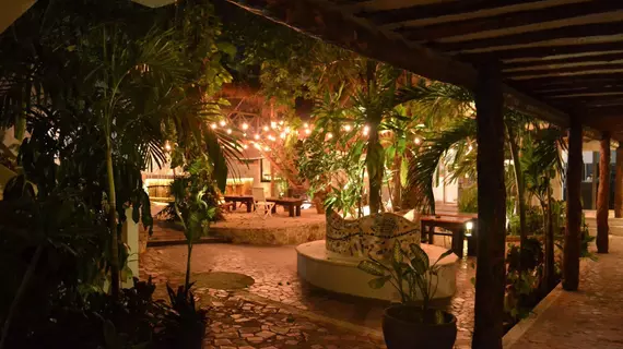 Hostal MX | Quintana Roo - Solidaridad - Playa del Carmen