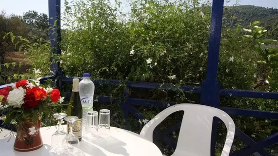 Alkistis Hotel | Tesalya - Skopelos