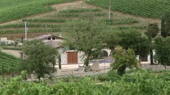 Agriturismo A. Bonacchi | Toskana - Siena (vilayet) - Montalcino