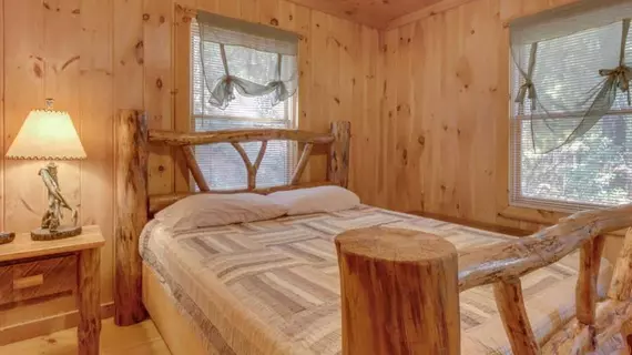 Cherokee Point Cabin | Georgia - Blue Ridge (ve civarı) - Ellijay