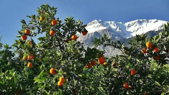 Tuncer Garden Hotel | Antalya - Kemer