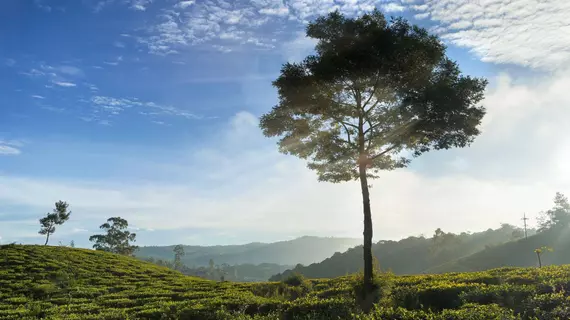 Kent Cottage | Merkez Vilayet - Nuwara Eliya Bölgesi - Nuwara Eliya