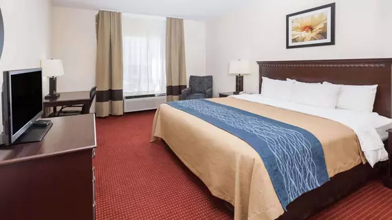 Baymont Inn and Suites Decatur | Alabama - Huntsville (ve civarı) - Decatur