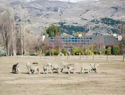 Lime Tree Lodge | Otago - Luggate