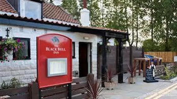 The Black Bull Inn | Kuzey Yorkshire (kontluk) - Pickering