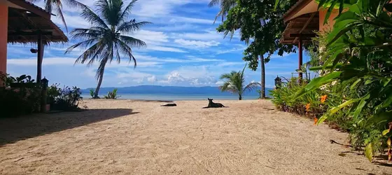 Papillon Bungalows | Surat Thani (vilayet) - Koh Phangan