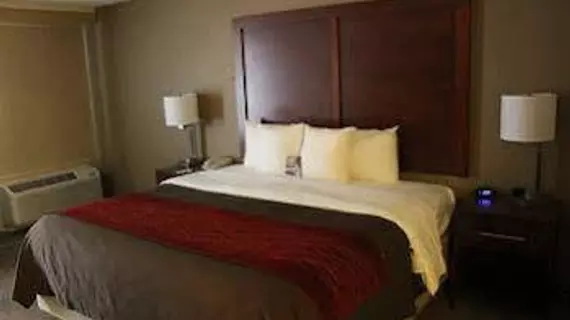 Comfort Inn Central | Kolorado - Denver (ve civarı) - Denver