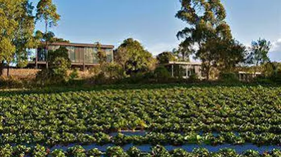 Glass On Glasshouse | Queensland - Glass House Mountains