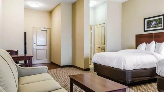 MainStay Suites Hackberry Sportsmans Lodge | Louisiana - Lake Charles (ve civarı) - Hackberry