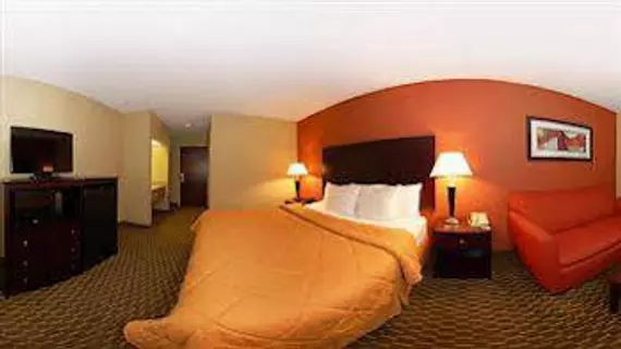 Comfort Inn Pine Bluff | Arkansas - Pine Bluff (ve civarı) - Pine Bluff