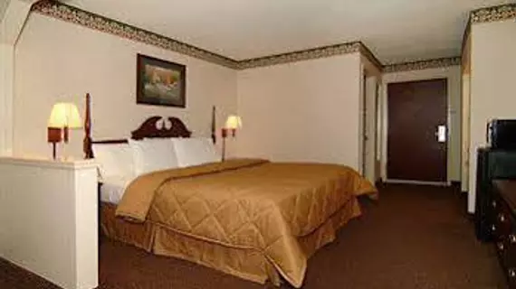 Comfort Inn Pine Bluff | Arkansas - Pine Bluff (ve civarı) - Pine Bluff