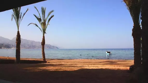 Dar Dahab | Güney Sina (il) - St. Catherine