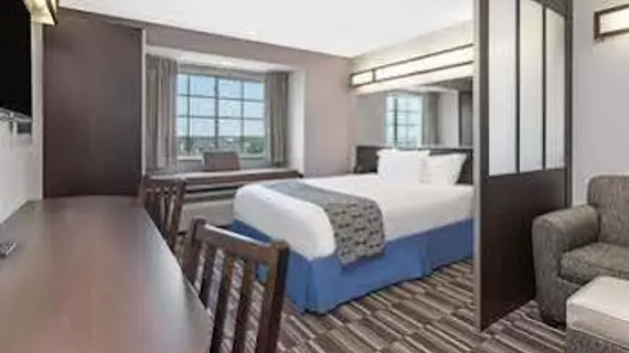 Microtel Inn & Suites by Wyndham Tuscaloosa | Alabama - Tuscaloosa (ve civarı) - Tuscaloosa