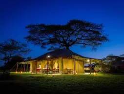 Kisura Serengeti Tented Camp | Serengeti Ulusal Parkı