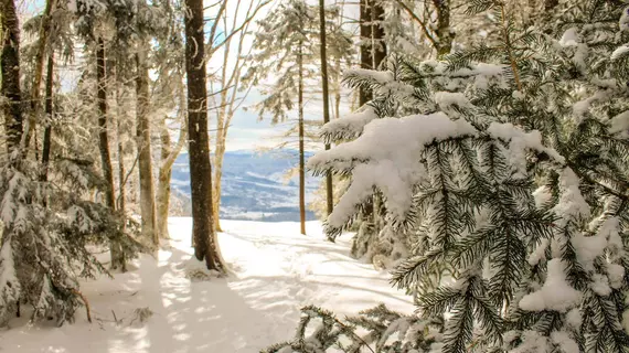 Canaan Valley Resort and Conference Center | Batı Virginia - Davis