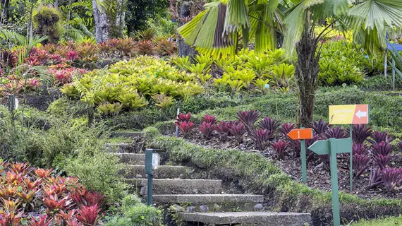 Las Cruces Biological Station | Puntarenas (ili) - San Vito