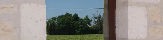 Chateau la Mothe du Barry | Nouvelle-Aquitaine - Gironde (bölge) - Moulon