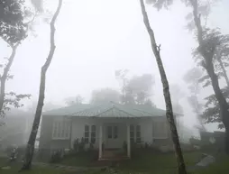 Spicetree Munnar | Kerala - Idukki Bölgesi - Udumbanchola