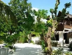 Island Cottage | Maldivler - Kaafu Atoll - Maafushi