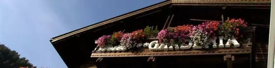 Romantic & Family Hotel Gardenia | Trentino-Alto Adige - Güney Tirol (il) - Selva di Val Gardena