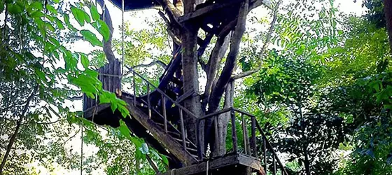 Rabeang Pasak Treehouse Resort | Chiang Mai İli - Doi Saket