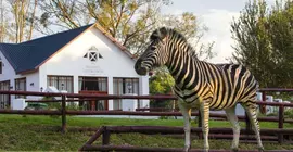 Zulu Nyala Country Manor | Gauteng - City of Tshwane - Johannesburg (ve civarı) - Chartwell