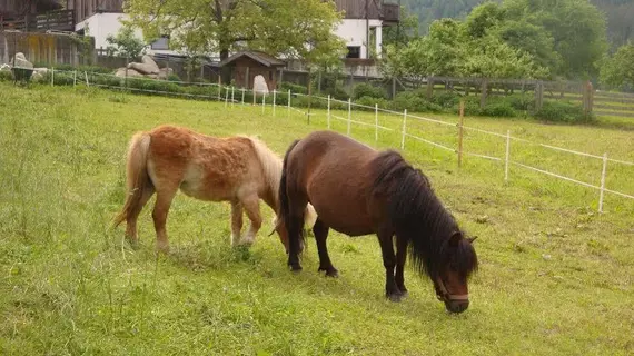 Residence Obermoarhof | Trentino-Alto Adige - Güney Tirol (il) - Vandoies