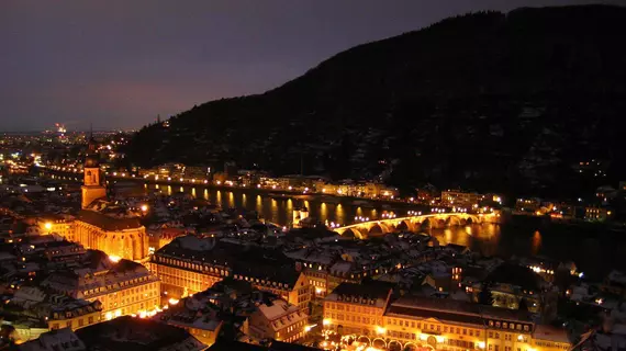 Wohlfühl-Hotel Neu Heidelberg | Baden-Wuerttemberg - Heidelberg - Pfaffengrund