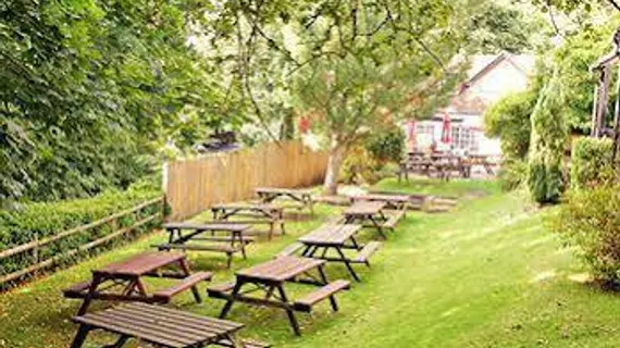 The Red Lion | Surrey (kontluk) - Betchworth