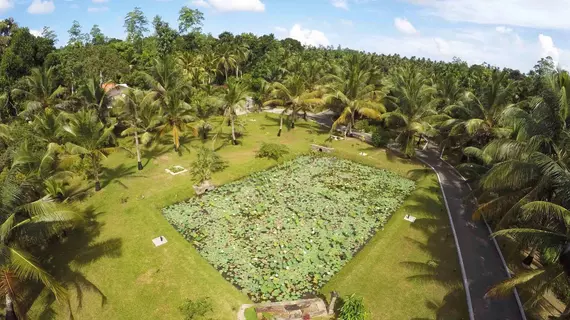 Villa Acres Green | Southern Province - Galle Bölgesi - Hikkaduwa