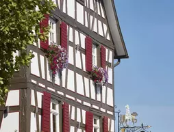 Hotel Ritter Durbach | Baden-Wuerttemberg - Ortenaukreis - Durbach