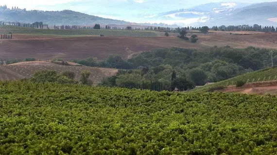 Agriturismo A. Bonacchi | Toskana - Siena (vilayet) - Montalcino