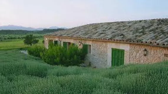 Agroturismo sa Rota d' en Palerm | Balearic Adaları - Mayorka Adası - Pla de Mallorca