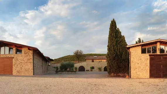 Agriturismo A. Bonacchi | Toskana - Siena (vilayet) - Montalcino