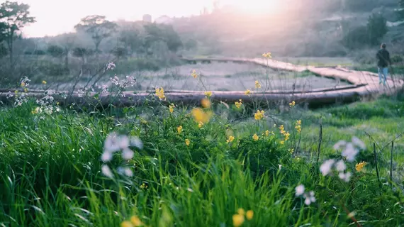 Jeju Saint House | Jeju Adası - Seogwipo - Jungmun